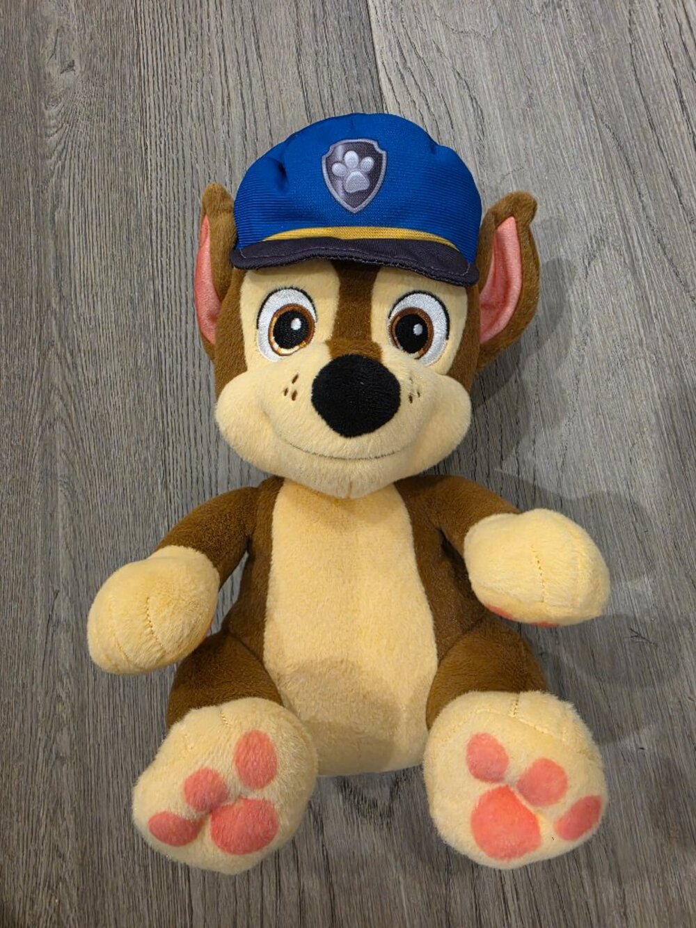 Paw patrol